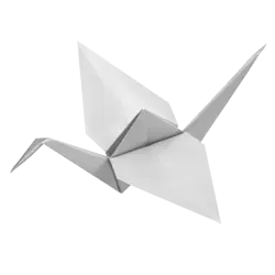 Origami Workshop in Kolhapur