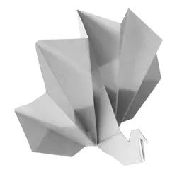 Origami Workshop in Kolhapur